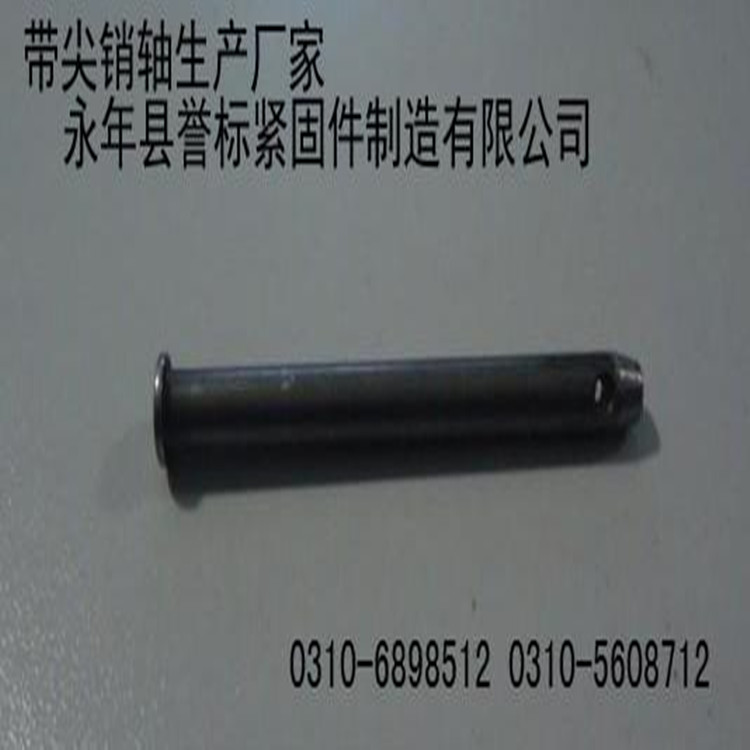 N(xio)SFN(xio)SS(chng)